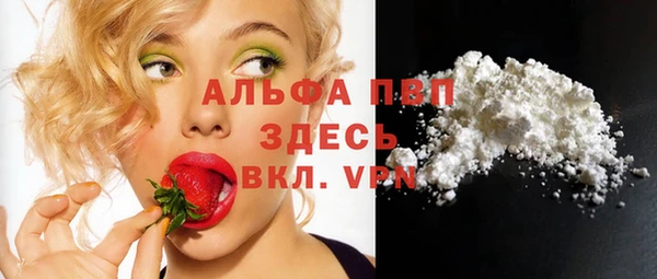 соль ск Новодвинск
