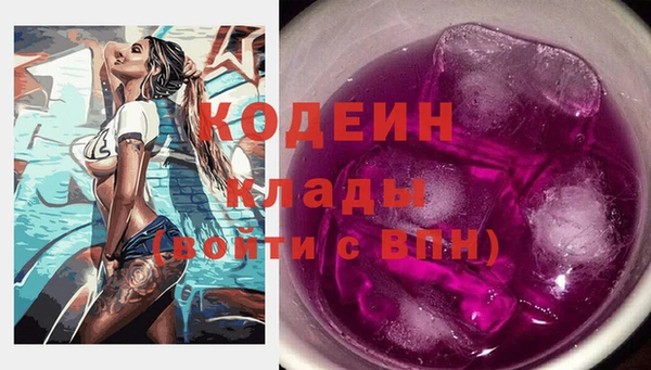 соль ск Новодвинск