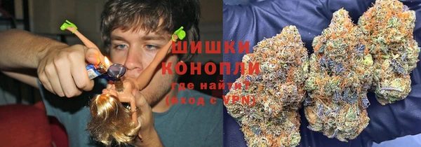 соль ск Новодвинск