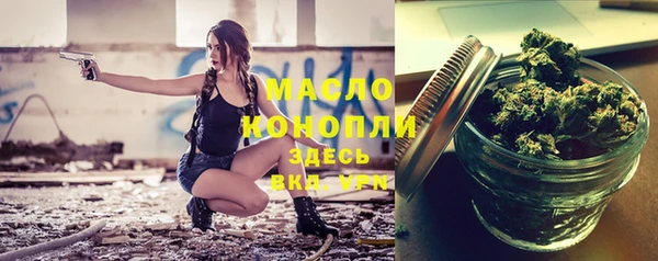 соль ск Новодвинск