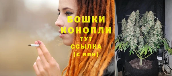 соль ск Новодвинск