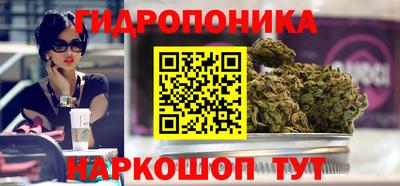 стафф Будённовск