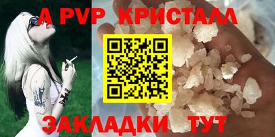 стафф Будённовск
