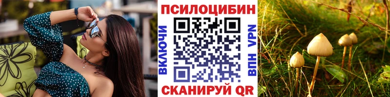 блэк спрут   Ачинск  дарк нет Telegram  Галлюциногенные грибы Magic Shrooms 
