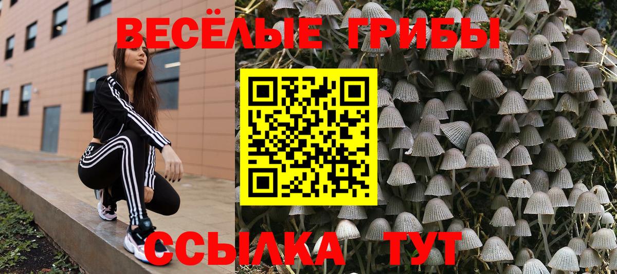 Ачинск  Галлюциногенные грибы Cubensis  Вход с VPN 