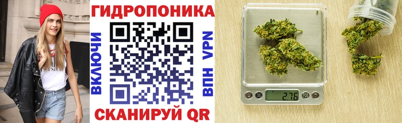 Каннабис SATIVA & INDICA  Ачинск 